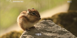 다큐멘터리 3일 626회