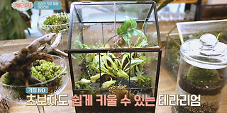 체인지 41회