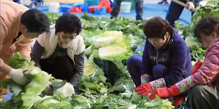 다큐멘터리 3일 604회