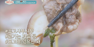 체인지 87회
