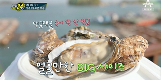 관찰 카메라 24 135회