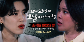 꼬리에 꼬리를 무는 그날 이야기 시즌2 8회