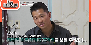 개는 훌륭하다 81회