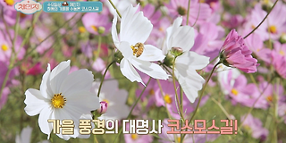 체인지 67회