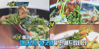 관찰 카메라 24 182회