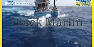 도시어부2: 대항해시대 2회