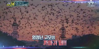 관찰 카메라 24 172회