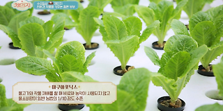 체인지 73회