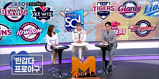 스포츠 야 313회