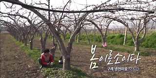 다큐멘터리 3일 619회