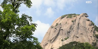 다큐멘터리 3일 628회