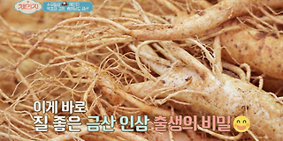 체인지 81회