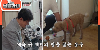 개는 훌륭하다 76회