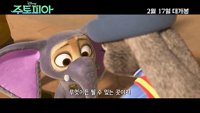 뮤직비디오
