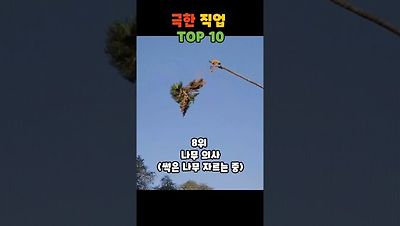 세계의 극한직업