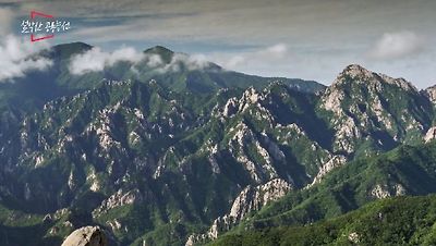 이미지 문화유산