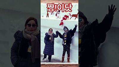 미스트롯 4 토크콘서트