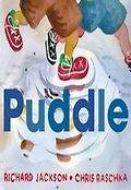 Puddle 표지 이미지
